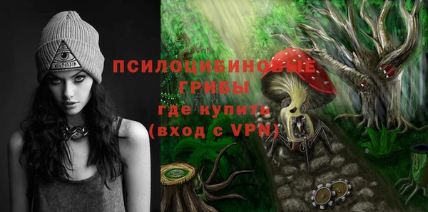 спиды Алексин