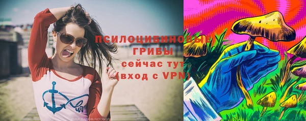 гидропоника Абаза